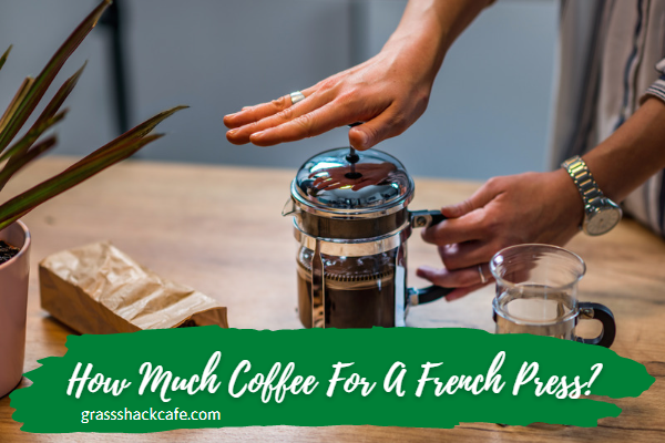 how much coffee for a french press