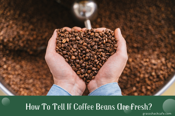 How To Tell If Coffee Beans Are Fresh