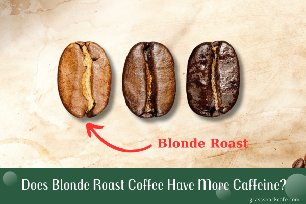 does blonde roast have more caffeine